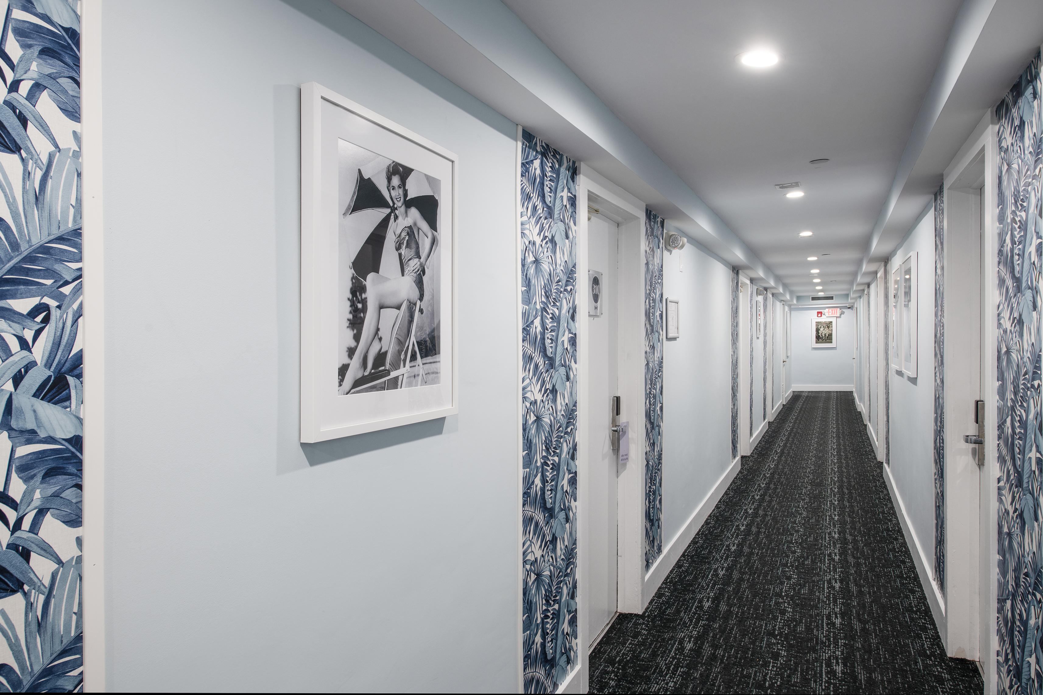 Penguin Hotel Маями Бийч Екстериор снимка